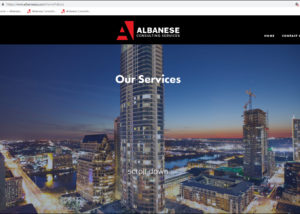 Albanese Consulting website